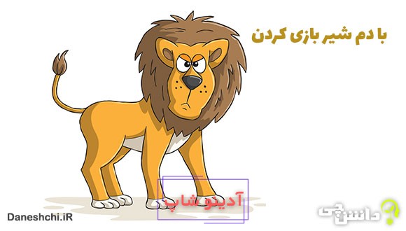معنی با دم شیر بازی کردن