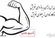 خورد گاو نادان ز پهلوی خویش