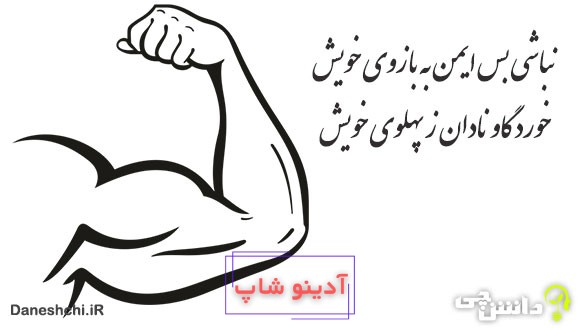 خورد گاو نادان ز پهلوی خویش