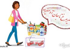 معنی ضرب المثل از شیر مرغ تا جون آدمیزاد