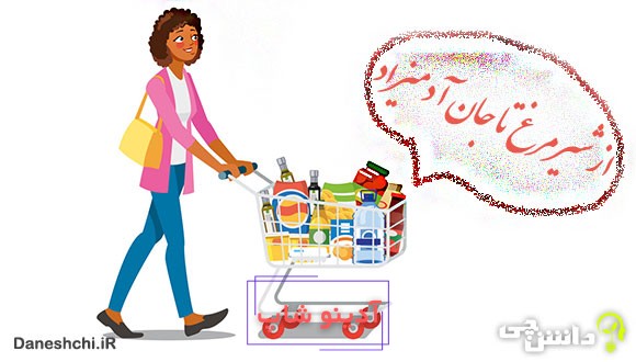 معنی ضرب المثل از شیر مرغ تا جون آدمیزاد