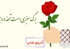 ضرب المثل برگ سبزی است تحفه درویش