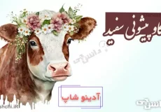 گاو پیشونی سفید