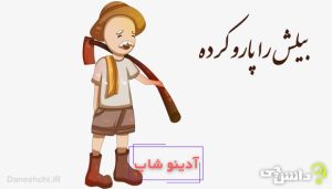 ضرب المثل بیلش را پارو کرده