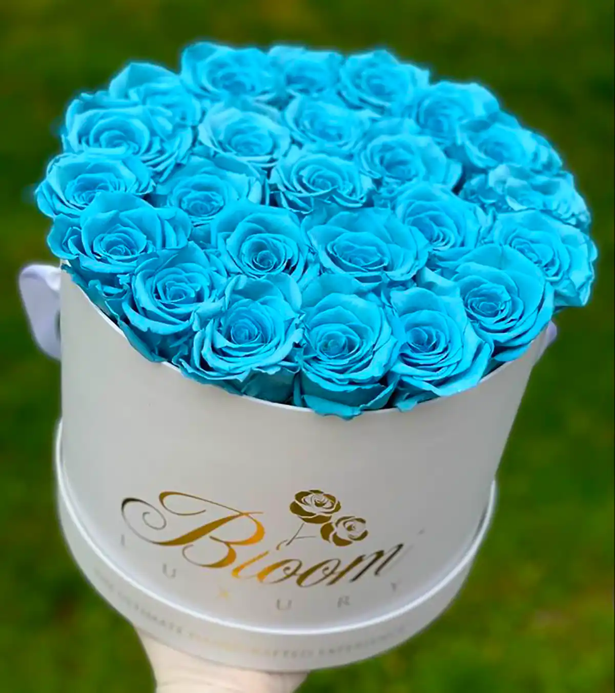 باکس گل رز آبی هدیه