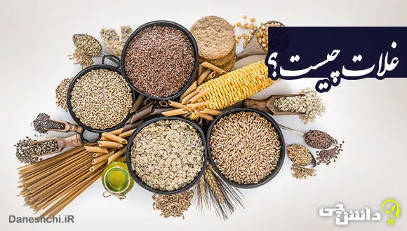 تحقیق در مورد غلات و لیست کامل آن