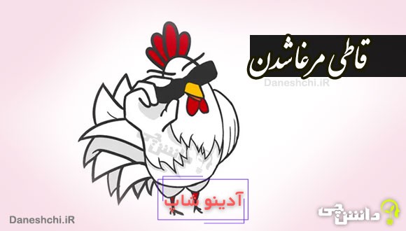قاطی مرغا شدن