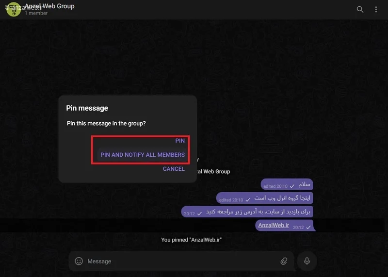 گزینه‌های پین شیام در گروه تلگرام وب