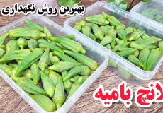 آموزش بلانچ کردن بامیه مرحله به مرحله/ترفند مهم بلانچ بمونه برای طولانی مدت