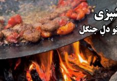 بهار باشه، آتیش از تو، غذاش با من :) یه غذای خوشمزه مناسب آشپزی تو طبیعت