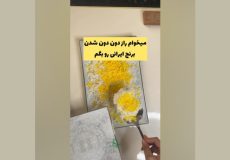 رازهای طلایی برای برنجی دانه‌دانه و معطر