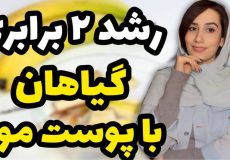 رشد چند برابری گیاهان با پوست موز️