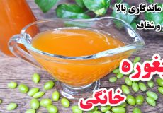طرز تهیه آبغوره خانگی خوشرنگ با ماندگاری بالا/آبغوره خانگی بدون تلخ شدن