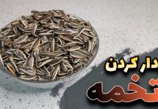 طرز تهیه بو‌ دادن تخمه در فر/فوت و فن بو‌ دادن تخمه/تخمه آفتابگردان