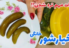طرز تهیه خیارشور خانگی ترد و خوشمزه با ماندگاری بالا/ خیارشور ترد/ خیارشور