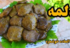 طرز تهیه دلمه برگ مو / مرحله به مرحله با تمام نکات