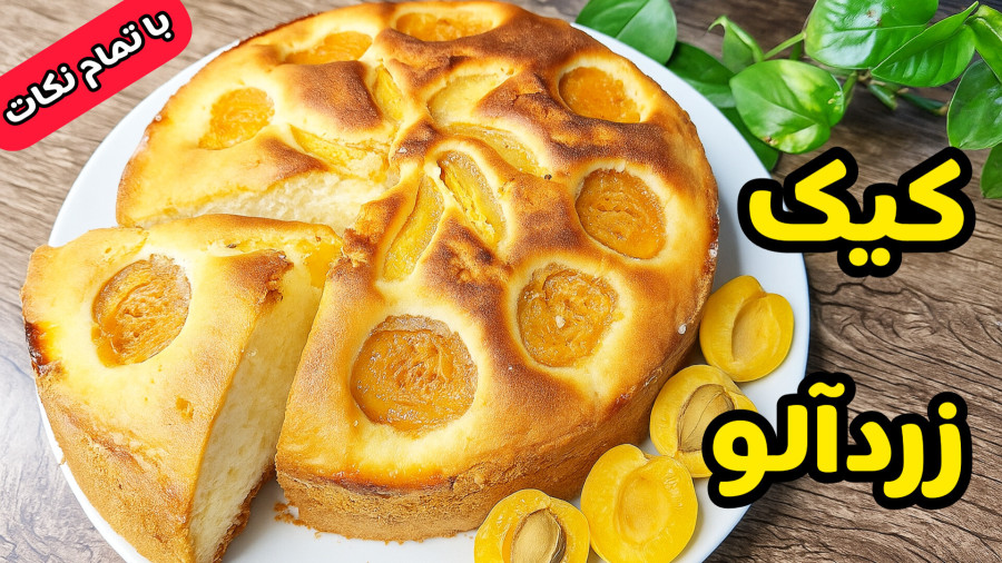 طرز تهیه کیک زردآلو خانگی خوشمزه و خوش عطر با تمام نکات /کیک زردالو /کیک