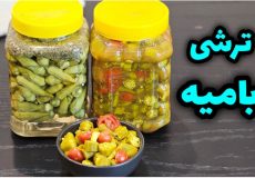طرز تهیه ۲ مدل ترشی بامیه / ترشی بامیه / ترشی / ترشیجات