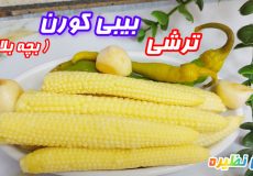 طرزتهیه ترشی بچه بلال /آموزش ترشی بیبی کورن