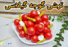 طرزتهیه ترشی گوجه گیلاسی فوق العاده خوشمزه/یه ترشی متفاوت و خوش طعم
