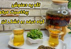 طرزتهیه دمنوش خرفه/خواص دمنوش خرفه