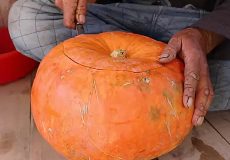 پخت سنتی مرغ در کدو تنبل روی آتش در روستاهای افغانستان