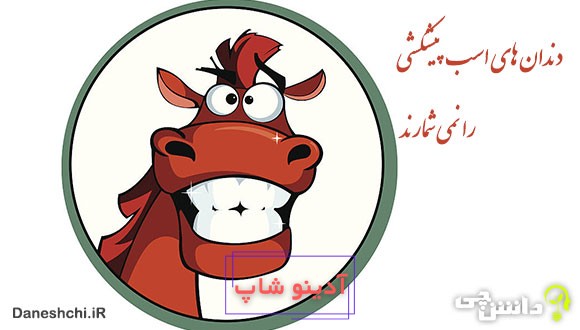 دندان اسب پیشکشی را نمی شمارند