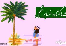 معنی دست ما کوتاه و خرما بر نخیل