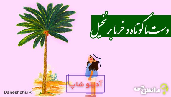 معنی دست ما کوتاه و خرما بر نخیل