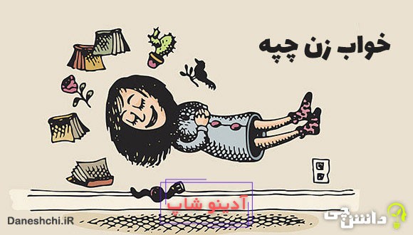 معنی ضرب المثل خواب زن چپه