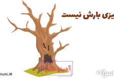 معنی چیزی بارش نیست