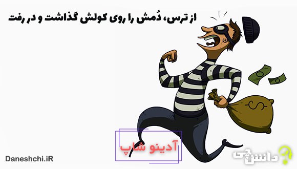 معنی دُمش را روی کولش گذاشت و در رفت چیست؟