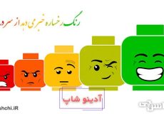 معنی رنگ رخساره خبر میدهد از سر درون