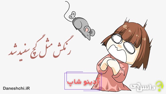 معنی رنگش مثل گچ سفید شد