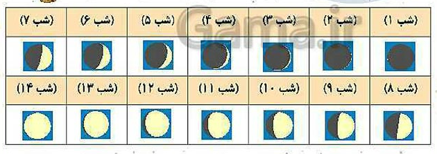 جواب فعالیت صفحه ۷۵  علوم چهارم