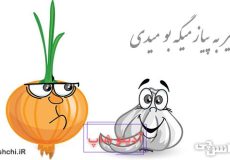 معنی ضرب المثل سیر به پیاز میگه بو میدی