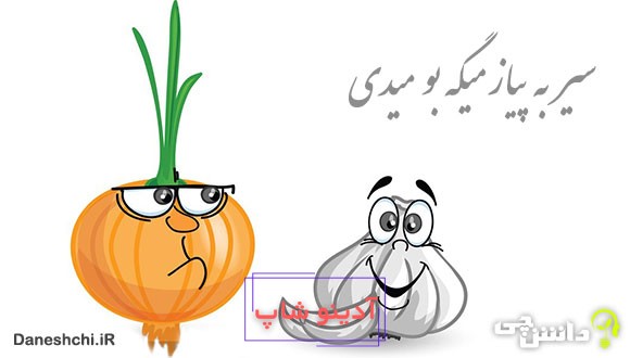 معنی ضرب المثل سیر به پیاز میگه بو میدی