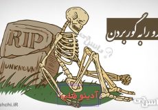 ضرب المثل آرزو را به گور بردن