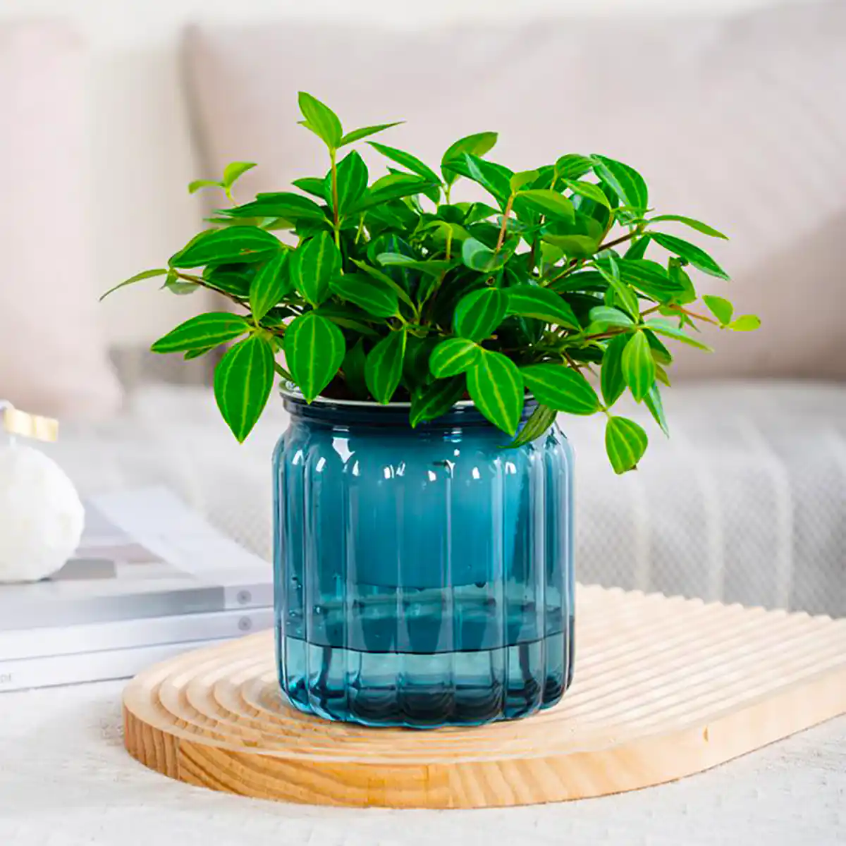 گلدان شیشه ای فانتزی