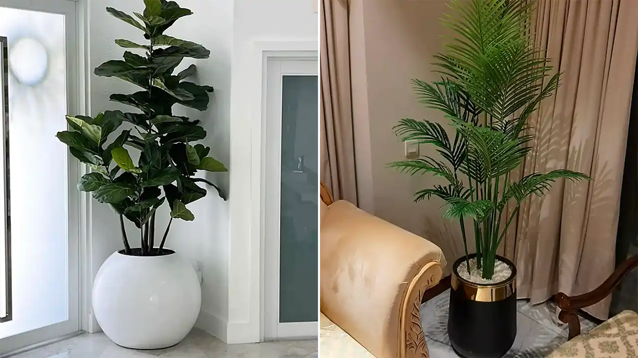 گلدان طبیعی کنار سالنی