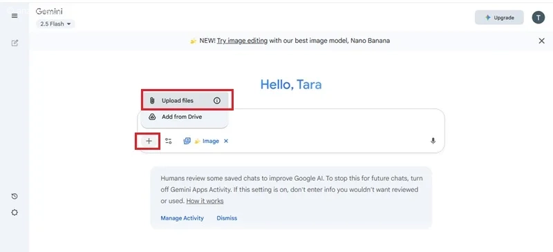 نانو بنانا گوگل