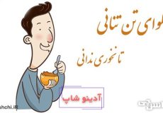 معنی ضرب المثل حلوای تن تنانی تا نخوری ندانی
