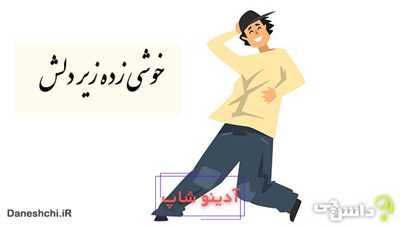 ضرب المثل خوشی زیر دلش زده