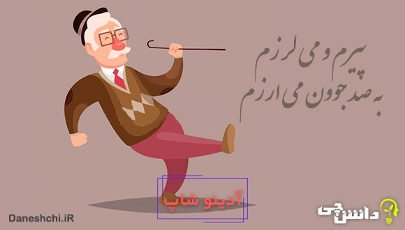 معنی پیرم و می‌لرزم، به صد جوون می‌ارزم