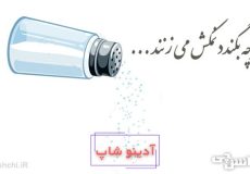 هر چه بگندد نمکش میزنند