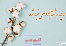 ضرب المثل هرچه رشته بودم پنبه شد