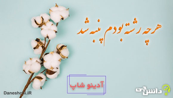 ضرب المثل هرچه رشته بودم پنبه شد