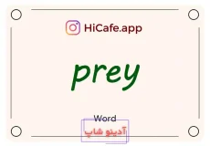 Meaning and usage of prey word
