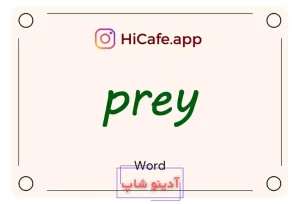 Meaning and usage of prey word