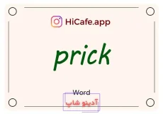 Meaning and usage of prick word